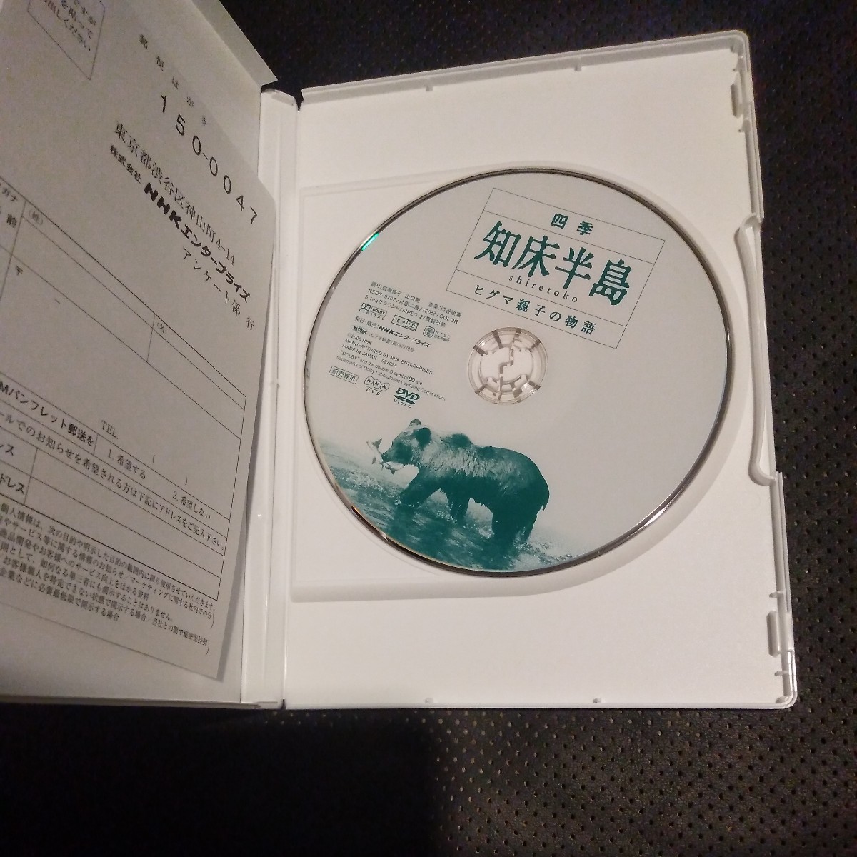 四季知床半島 〜ヒグマ親子の物語〜 （ドキュメンタリー）_画像2