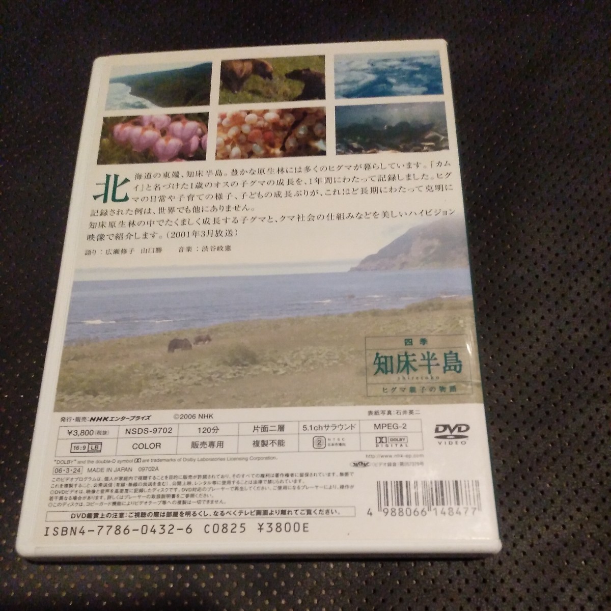 四季知床半島 〜ヒグマ親子の物語〜 （ドキュメンタリー）_画像4