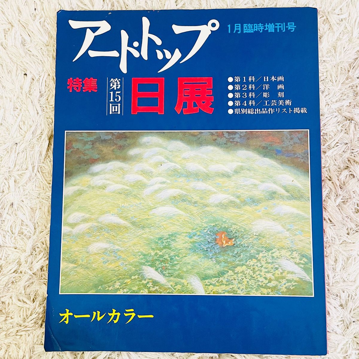 アートトップ　臨時増刊号　第15回　日展作品集