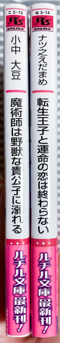 ルチル文庫　BL小説　2冊セット　小中大豆　ナツ之えだまめ