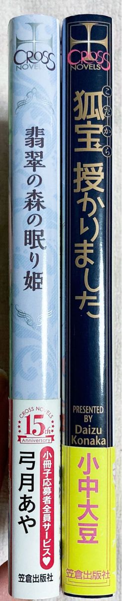 クロスノベルス　BL小説　2冊セット　弓月あや　小中大豆