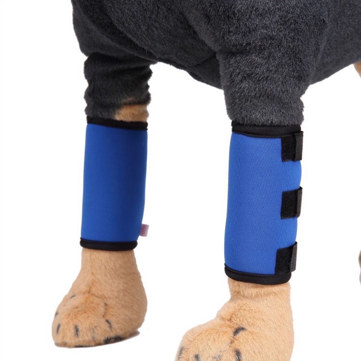  ①犬用膝サポーター ブルー Lサイズ ※2枚1組 関節痛 傷口カバー 犬の脚パッド ペット用保護具