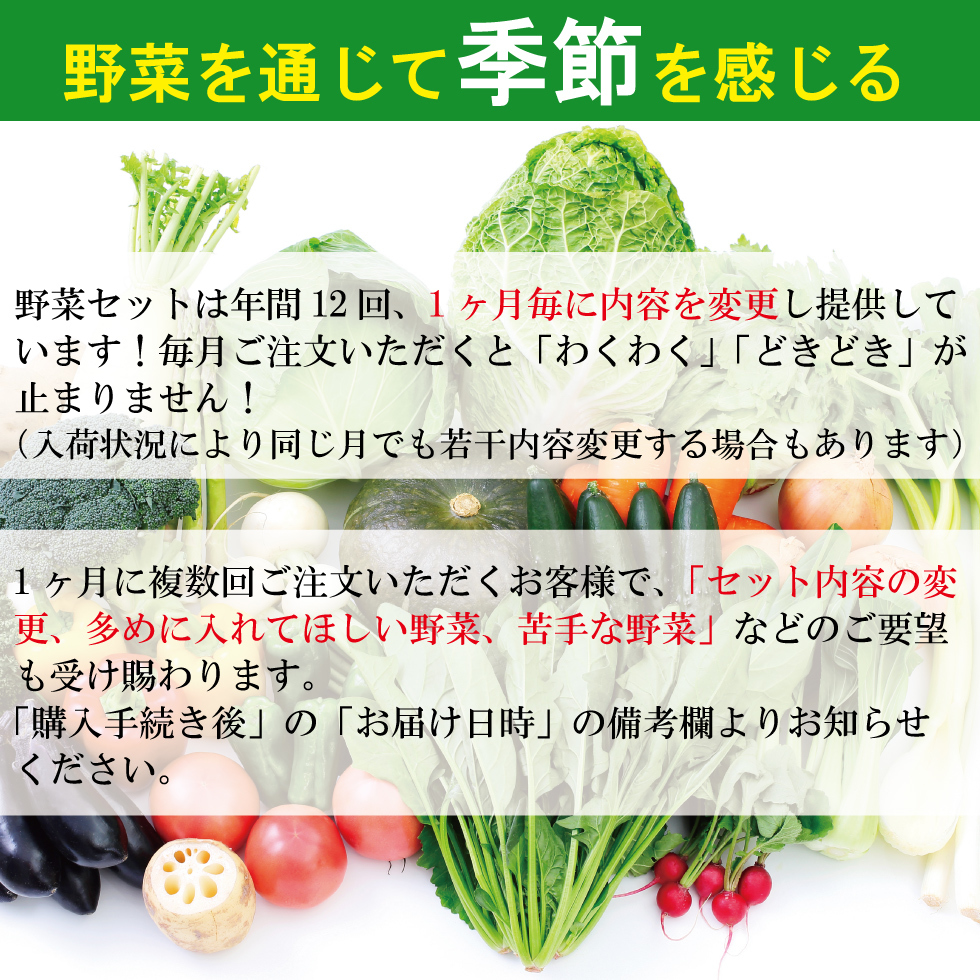 ☆ 目利きのプロが厳選したおいしい 産地直送野菜セット☆ 野菜セット お年賀 野菜 詰め合わせ 野菜BOX 旬 厳選 ギフト 食材 新鮮_画像4