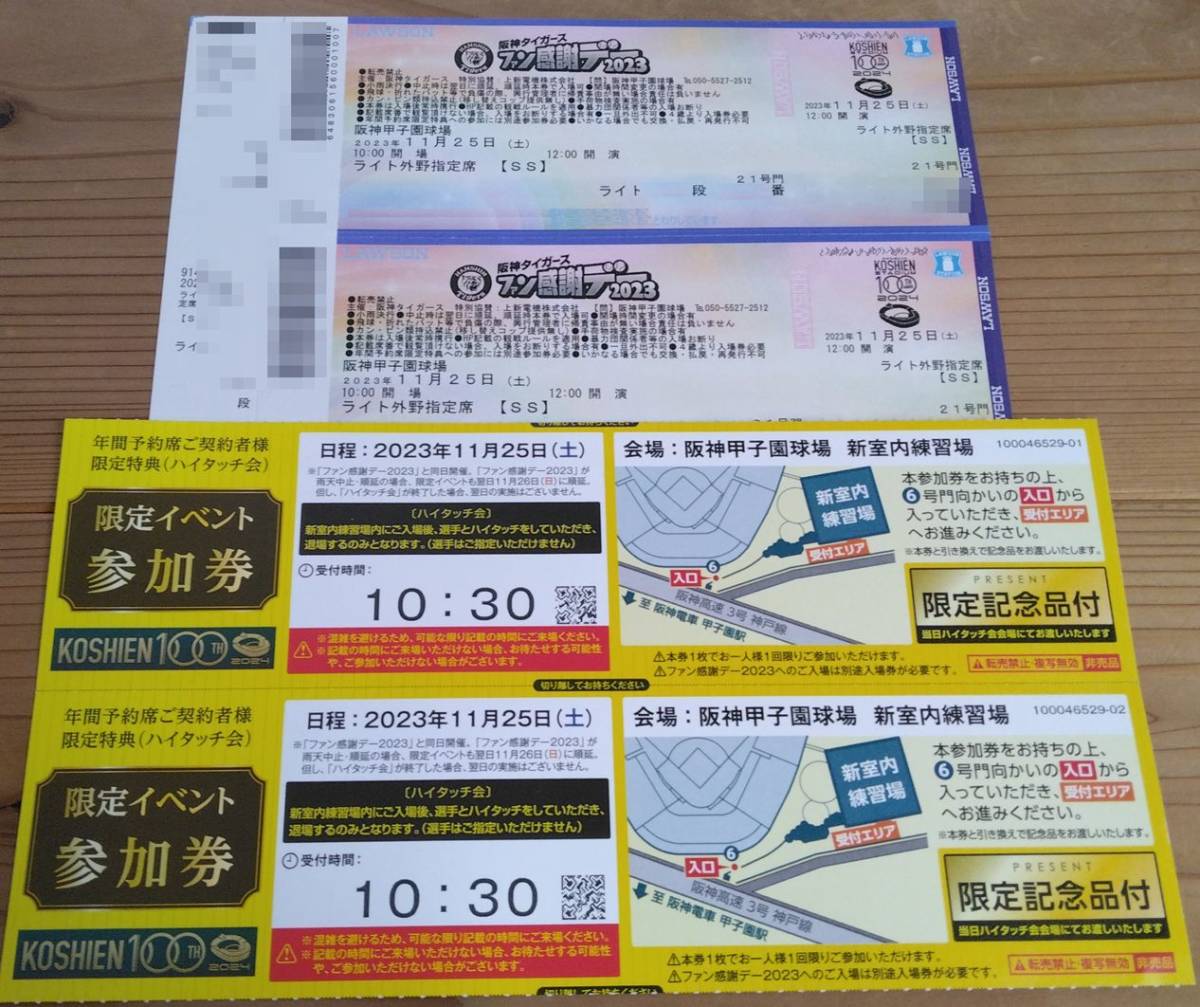 阪神タイガース ファン感謝デー2023 通路側 ハイタッチ 参加券 ライト指定席 ペア 2枚_画像1