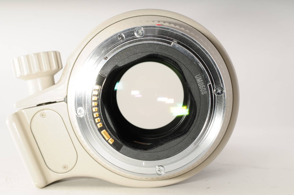 ★銘玉★ Canon 望遠ズームレンズ EF70-200mm F2.8L USM フルサイズ対応 #28_画像9