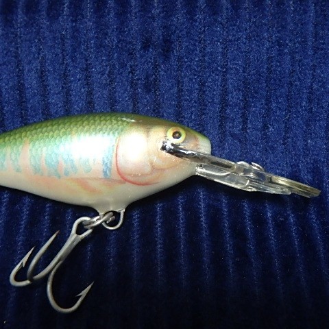 野池の隠し玉！ オールド ラパラ シャッドラップ SR5 オイカワ 日本限定 OLD Rapala Shad Rap SR-5 in OIKAWA JAPAN SPECIAL COLOR!_画像3