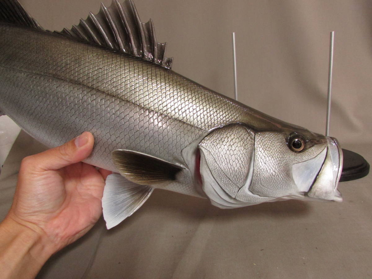 ●ハンドメイド　５９ｃｍシーバス　スズキ　釣り　フィッシング　フィギュア　レプリカ　模型　魚　 即決　fish craft REAL