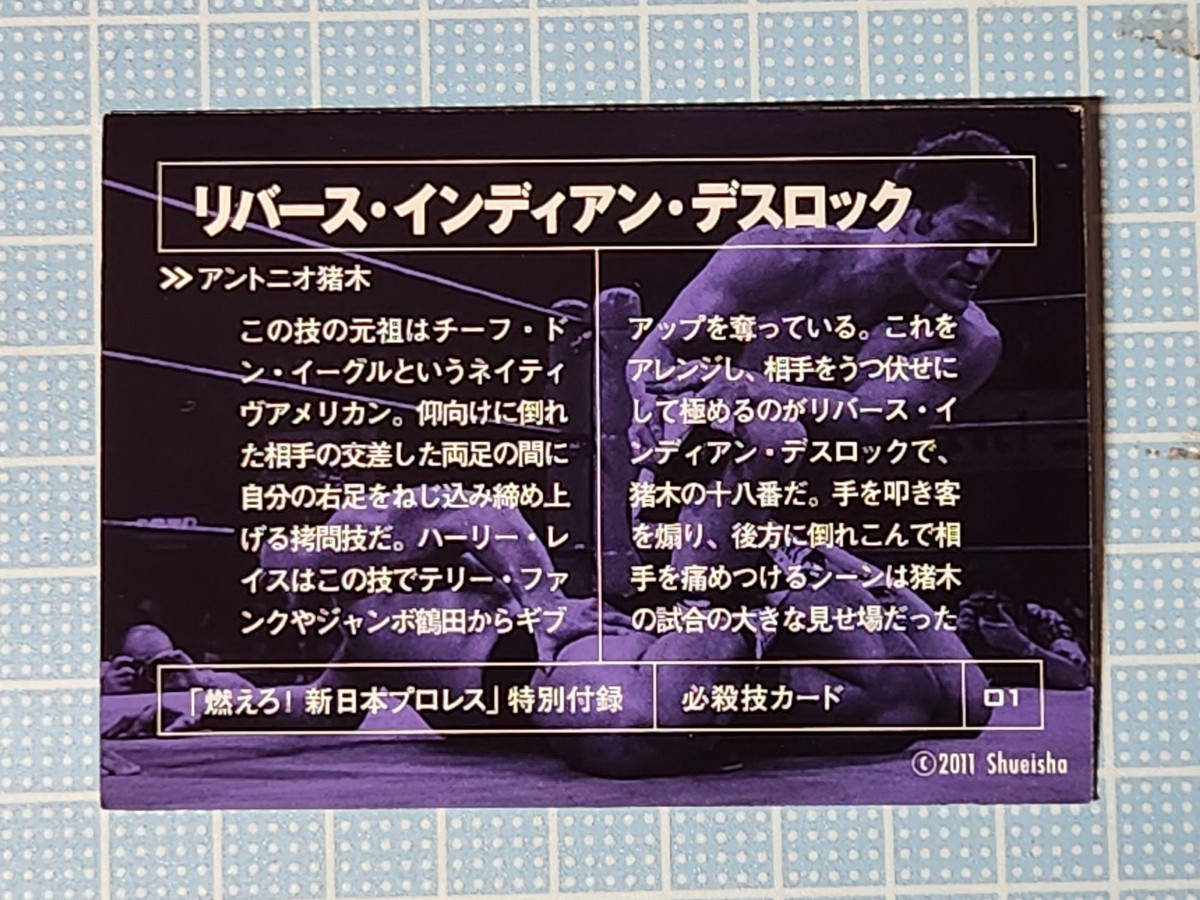 DVD 燃えろ新日本プロレスvol.1 猪木、舌出し失神事件! アントニオ猪木 ハルク・ホーガン タイガーマスク スタン・ハンセン_画像5