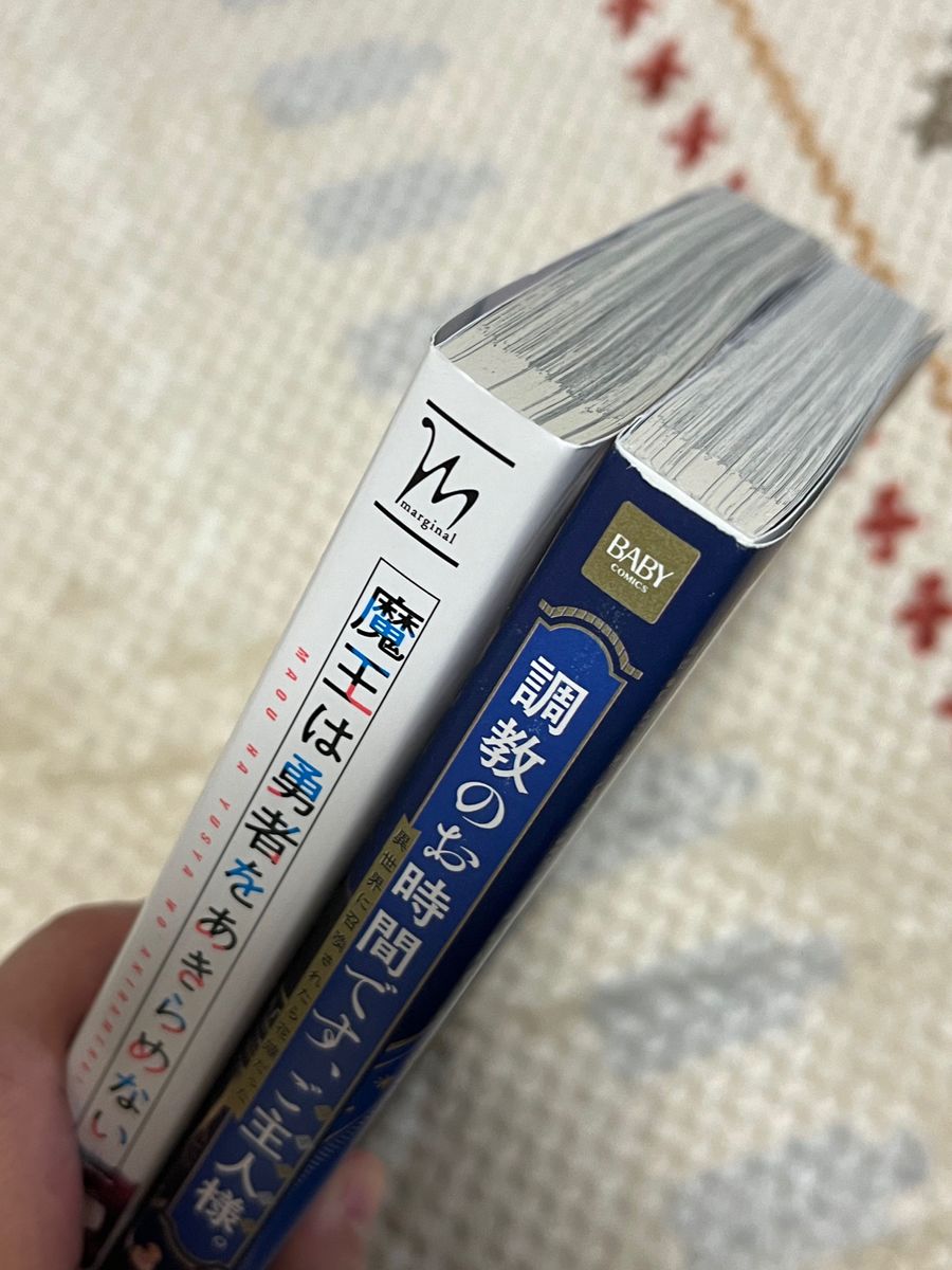 魔王は勇者をあきらめない　調教のお時間です、ご主人様　異世界2冊セット　共に初版本