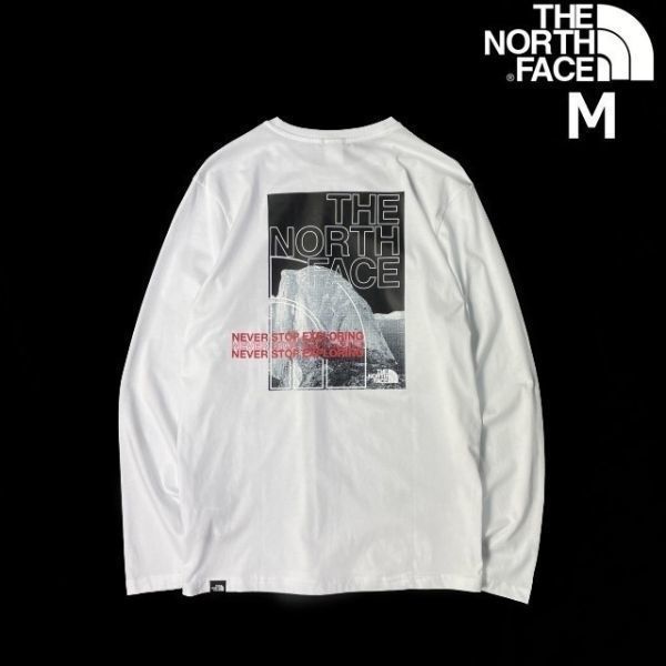 1円～!売切!【正規新品】THE NORTH FACE◆DOME BACK GRAPHIC L/S 長袖 Tシャツ ロンT US限定 バックプリント 男女兼用 上質(M)白 180902-20_画像2