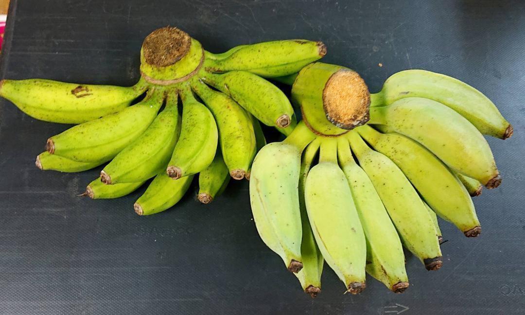 沖縄本島北部やんばる産　「島バナナ」「アップルバナナ」バナナセット！_画像3