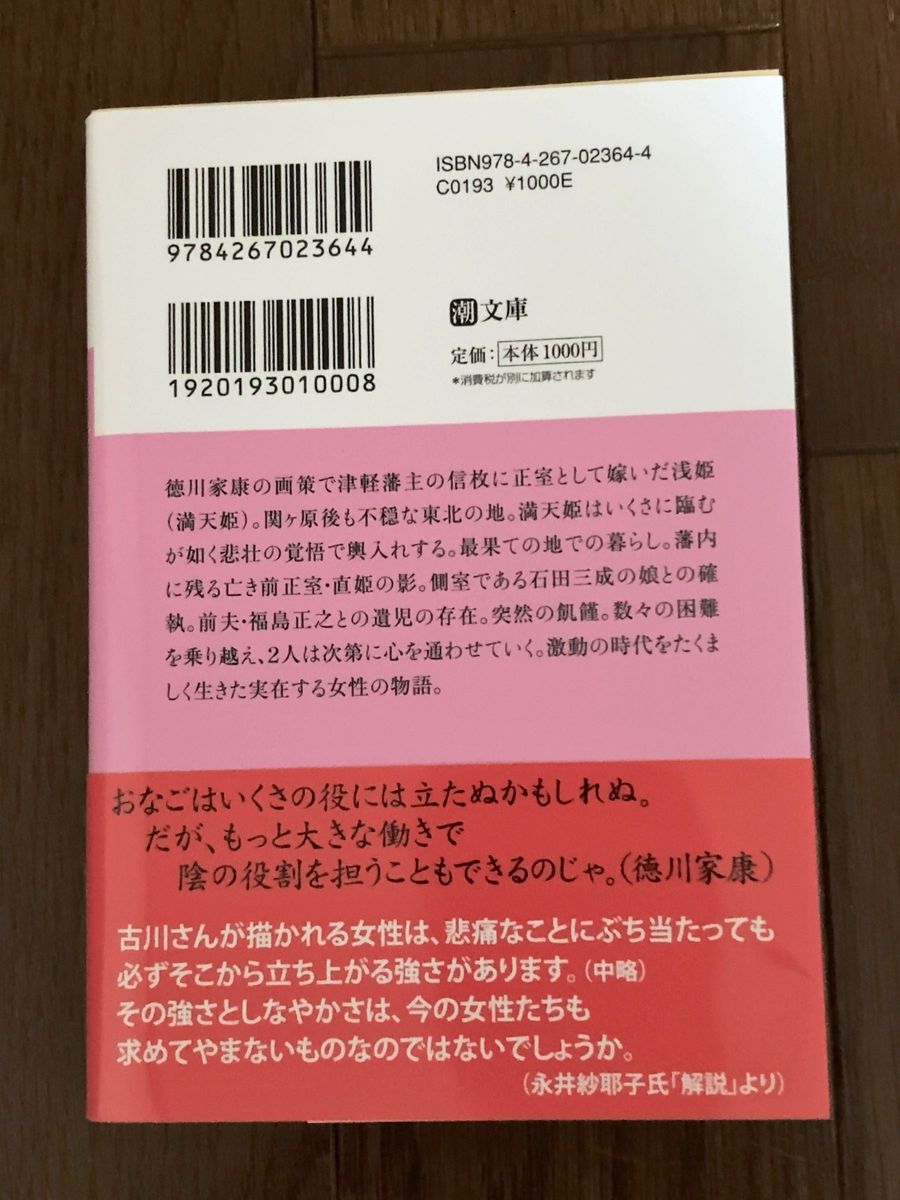 古川智映子 家康の養女満天姫の戦い