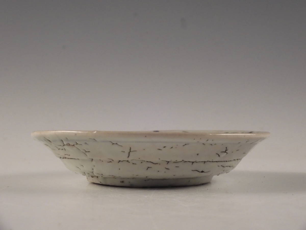 ○栄○初期伊万里 染付 安南 花鳥図 飾皿 15.5cm 江戸初期 59s27_画像5