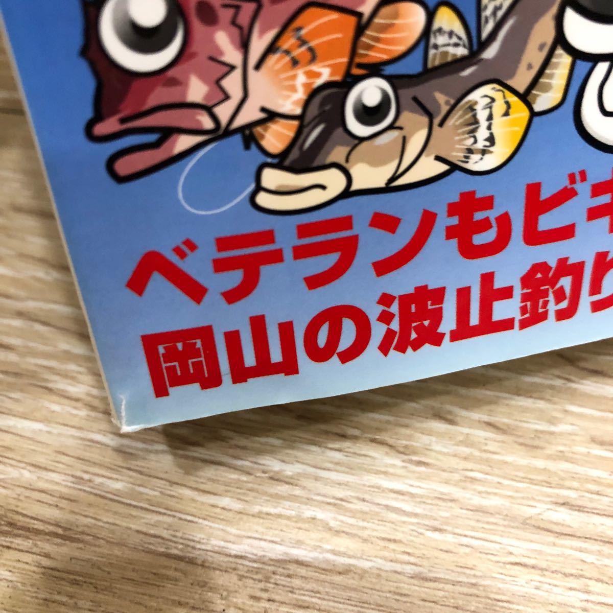 YK-5332 レジャーフィッシング別冊 波止ガイド 空撮 岡山 備後版《益田武美》KG情報 航空写真 磯 釣り 堤防 沖磯 波止_画像3