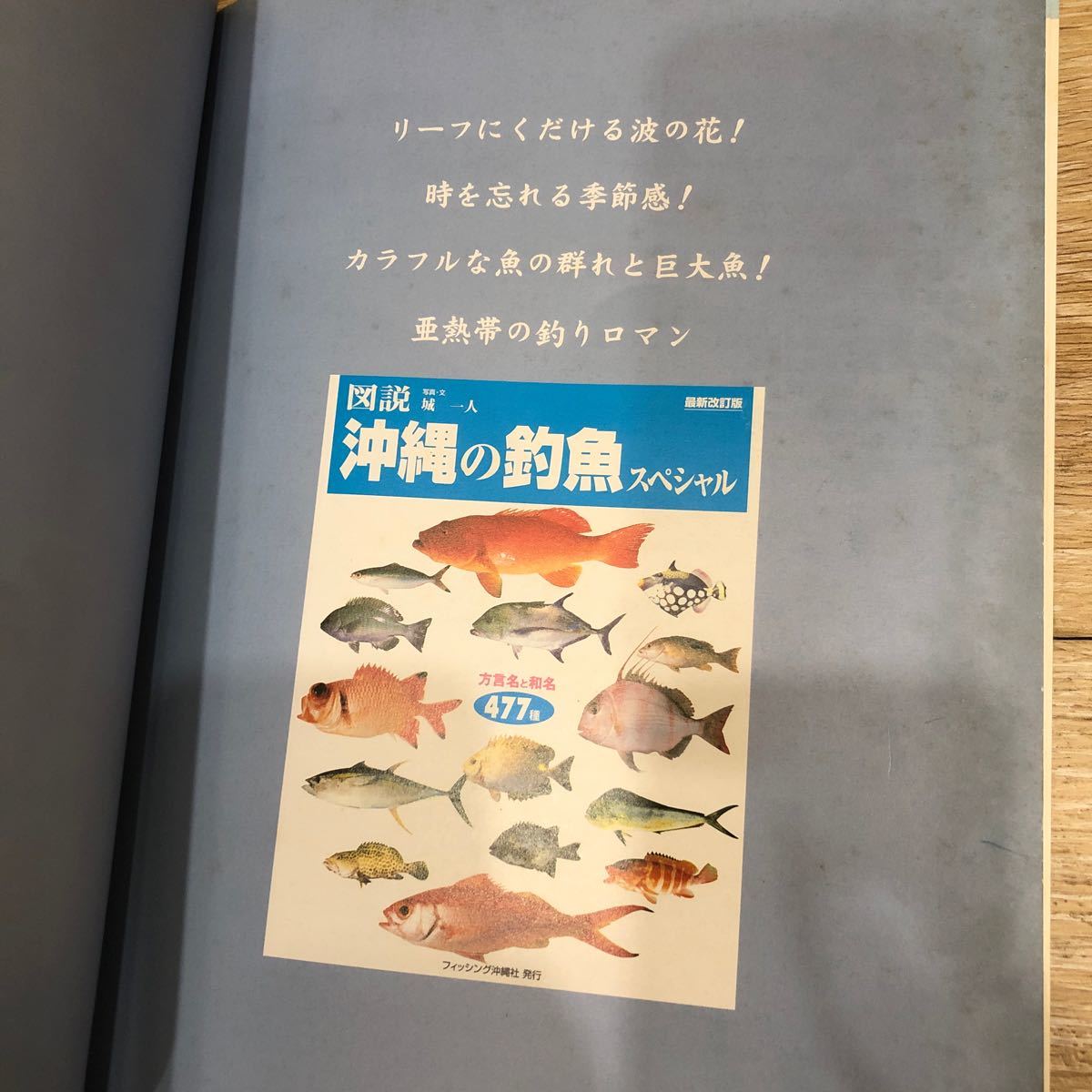 YK-5338 最新改訂版図説 沖縄の釣魚スペシャル 《城 一人》フィッシング沖縄社 琉球 航空写真 空撮 方言名 和名477種 釣り 堤防 沖磯 波止_画像8