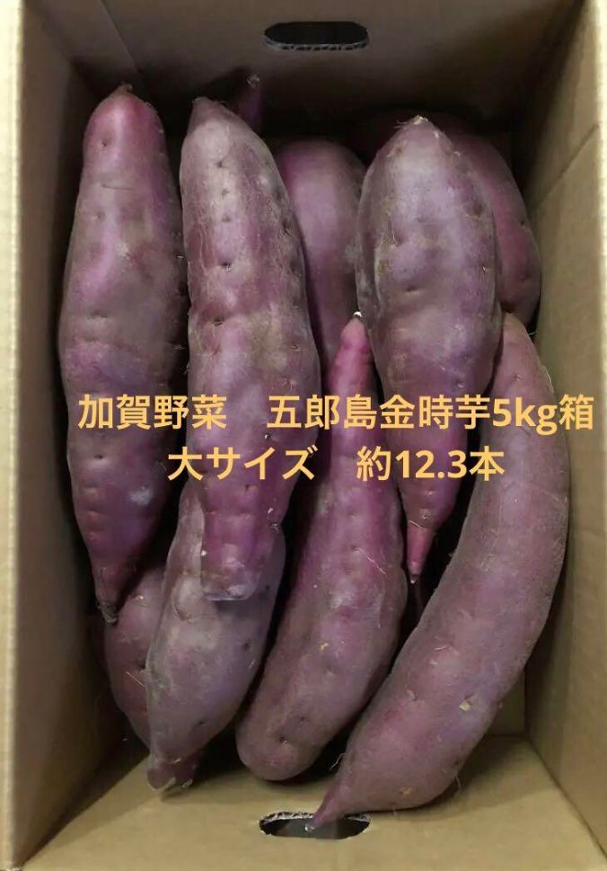 加賀野菜　五郎島金時芋5kg箱　大サイズ