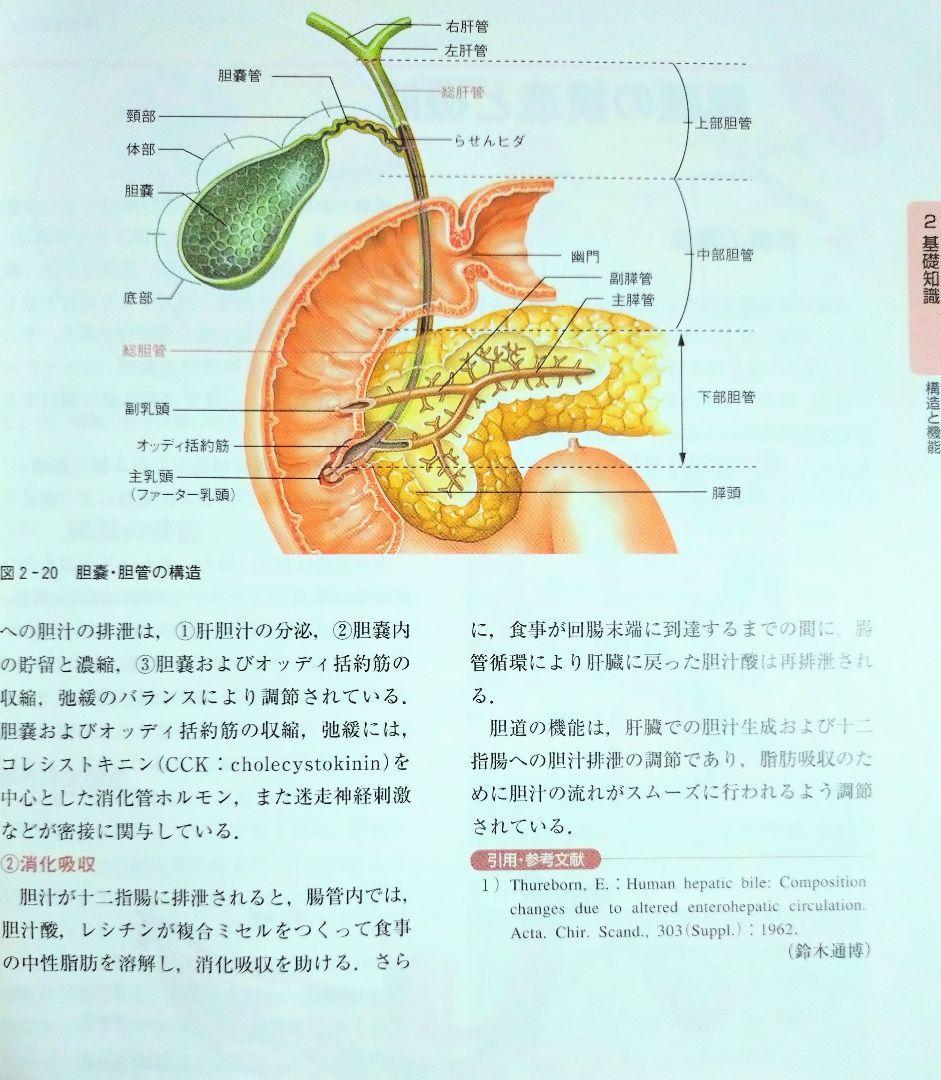 消化器疾患 ナーシングセレクション2 学研（看護学 看護師 ナース 看護学生 看護学校 医学 医師 ドクター 医学生 薬剤師 教科書 参考書 ）_画像10