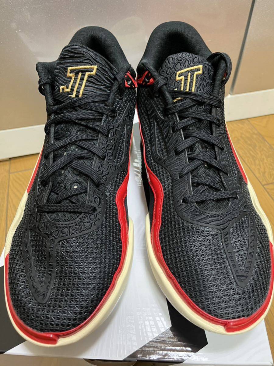 NIKE JORDAN TATUM 1 PF 28.5cm US10.5 ジョーダン テイタム1 ナイキ ZOO_画像5