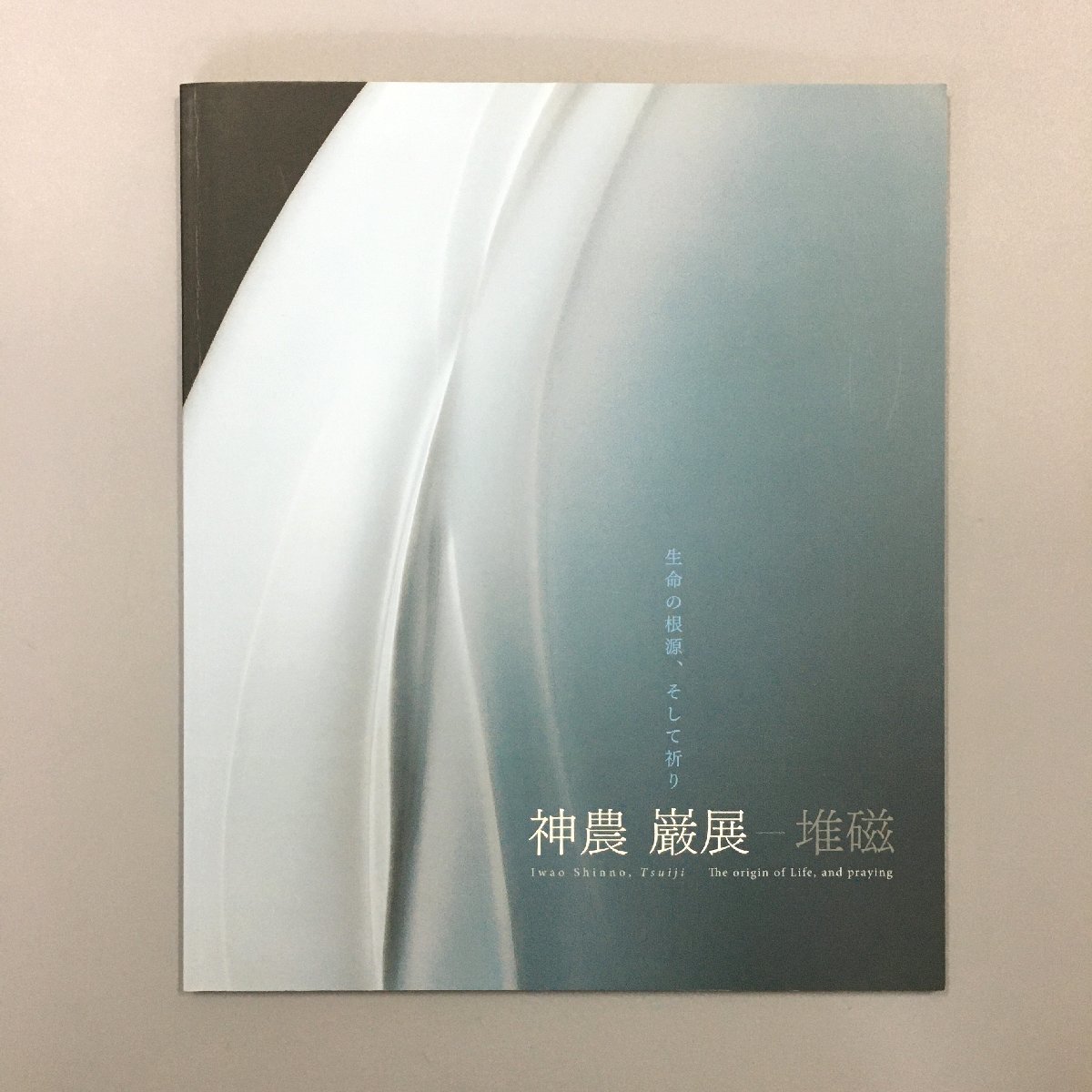 図録『堆磁　神農巌 展　生命の根源、そして祈り』 展覧会チラシ付き　兵庫県立美術館　2020　　　作品集 iwao shinno_画像1