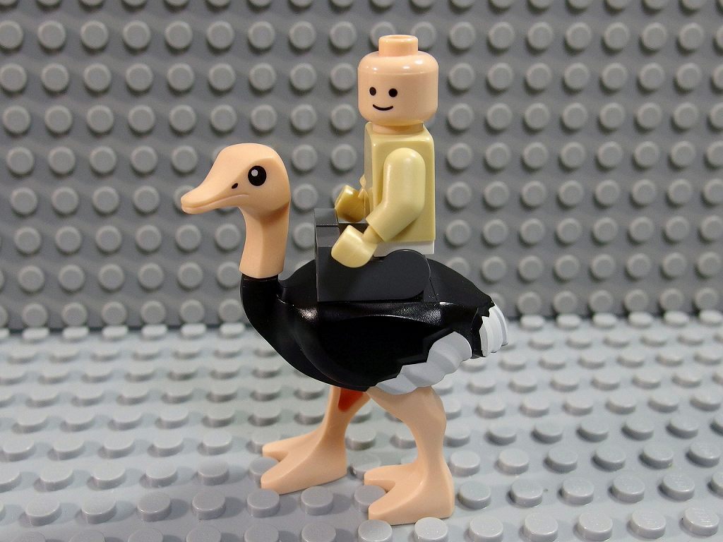 ★LEGO★動物★Ostrich_A(24689pb01c01)_画像5