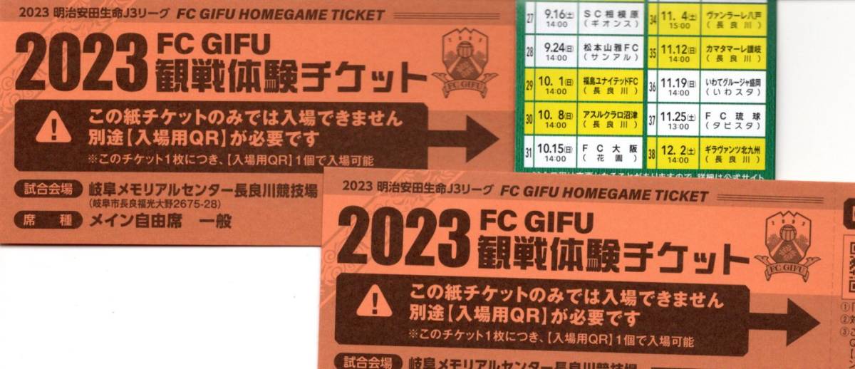 送185★新品★ＦＣ岐阜★メイン自由席２枚★ＱＲコード要★長良川競技場★_画像1