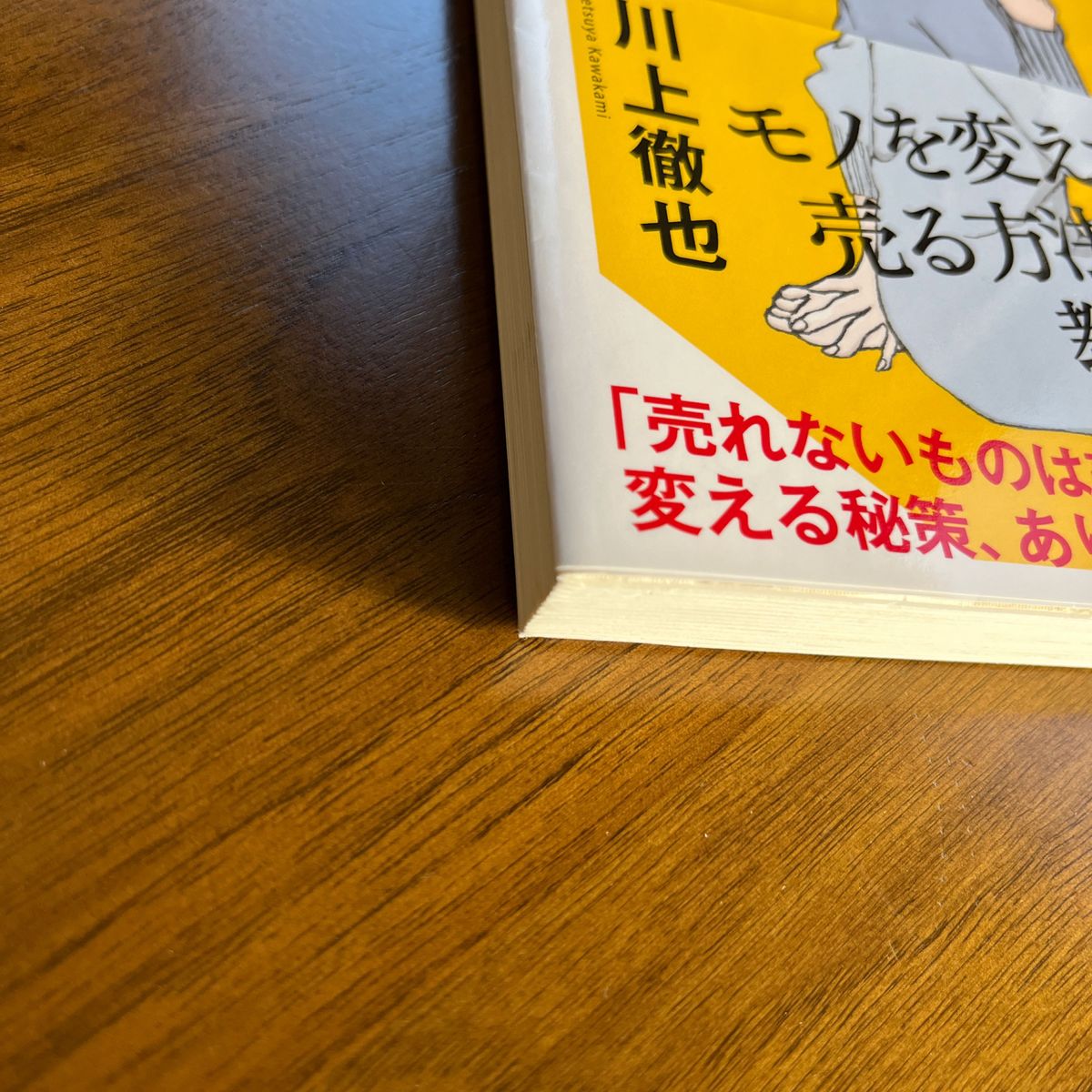 売れないものを売る方法？そんなものがほんとにあるなら教えてください！ （ＳＢ新書　４１６） 川上徹也／著