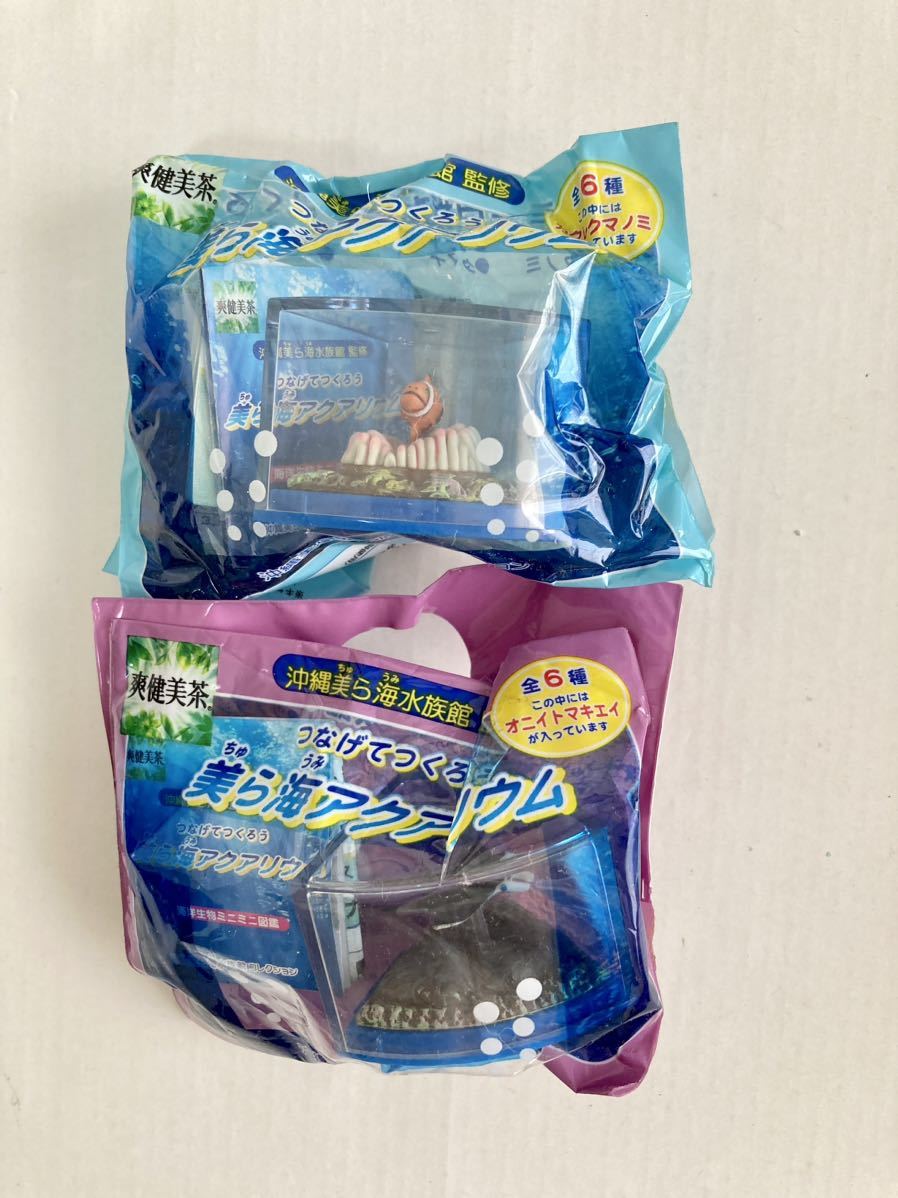 新品【美ら海アクアリウム】フィギュア 全6種 フルコンプ　爽健美茶　美ら海水族館監修　未開封_画像4