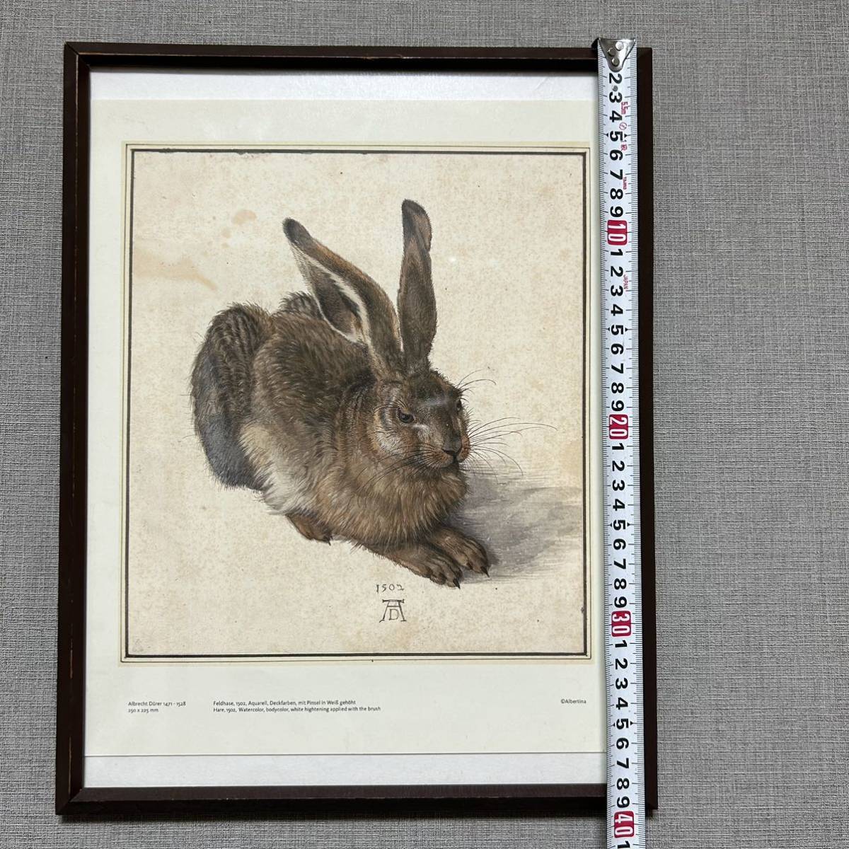 アルブレヒト・デューラー 野うさぎ 野ウサギ 野兎額装 芸術 作家物 美術品 1502 Albrecht Durer 印刷 57_画像8