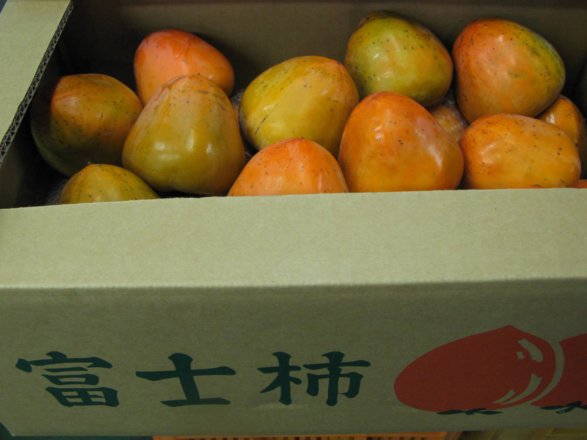 【大箱9~10kg】富士柿（渋抜き済み・サイズ混合）　家庭用　1円スタート_画像1