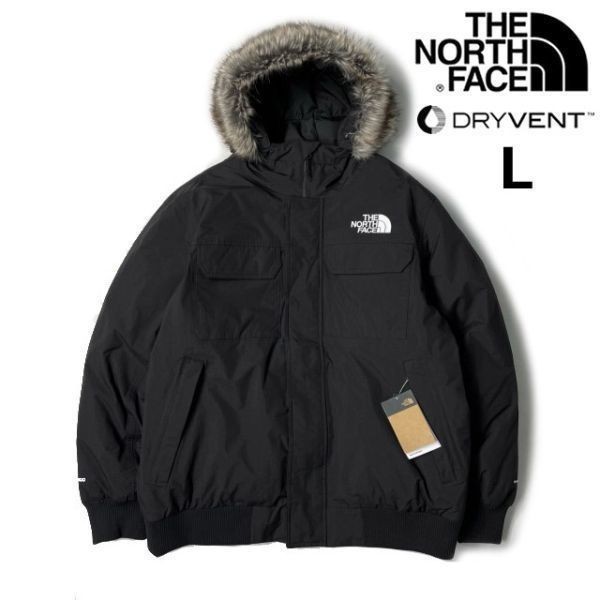 1円～!売切!【正規新品】THE NORTH FACE◆MCMURDO BOMBER JACKET◆マクマードボンバー ダウンジャケット US限定 新作 防寒(L)黒 190122-175_画像1