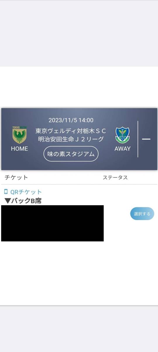★格安★東京ヴェルディ対栃木ＳＣ★バックＢ席 1枚 QRチケット★ 11月5日（日）味の素スタジアム_画像1