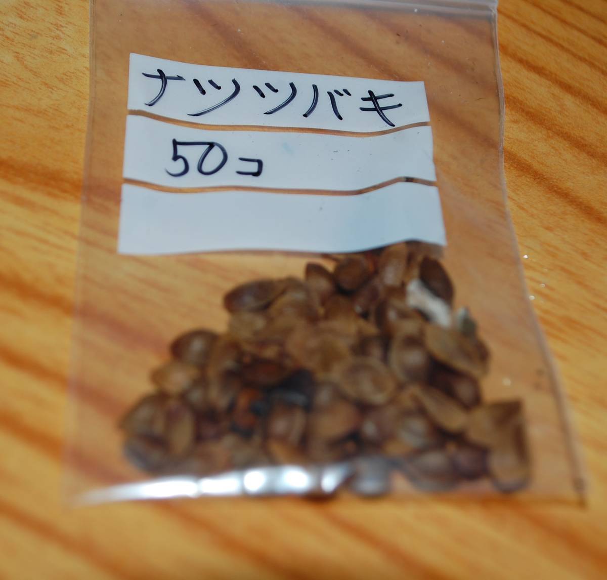 山野草　ナツツバキ　種５０個☆_出品品
