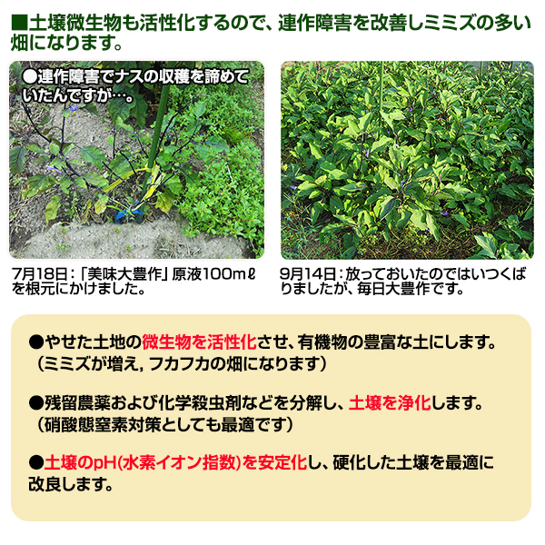 植物活力液 美味大豊作GT-S 500ml 作物が早く大きく育ち収穫量も増加！_画像5