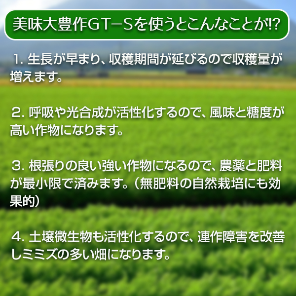 植物活力液 美味大豊作GT-S 500ml 作物が早く大きく育ち収穫量も増加！_画像6