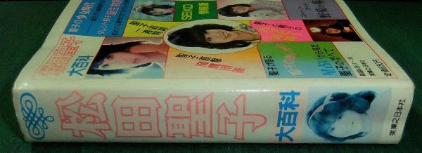 【難有り】松田聖子大百科　初版　こどもポケット百科　実業之日本社　昭和56年_画像3