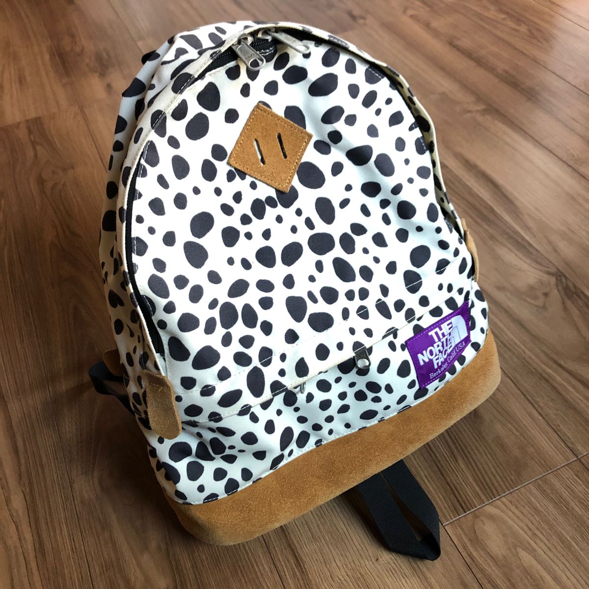 THE NORTH FACE PURPLE LABEL SHIPS別注リュック-