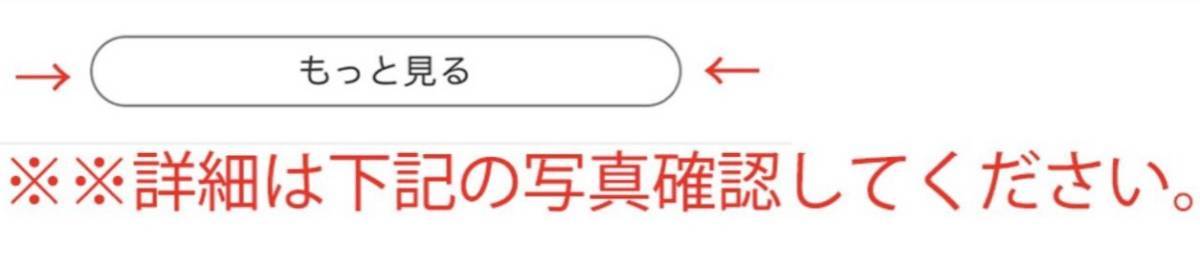 時代物 旧家整理品 古墨 蒼珮室 八点セット 古物保証 ４３４ｇ（文房具 墨 骨董品 中国美術 書道具 中国墨 唐物）_画像10