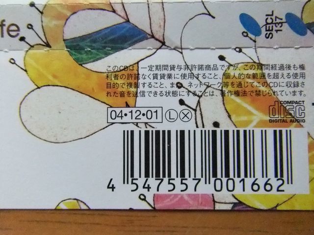 Fairlife　CD　Have a nice life　水谷公生・春嵐・浜田省吾　帯有_画像6