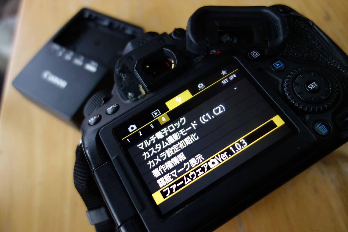 EOS 80D ボディ 充電器バッテリー付。安心メンテ済！_画像3