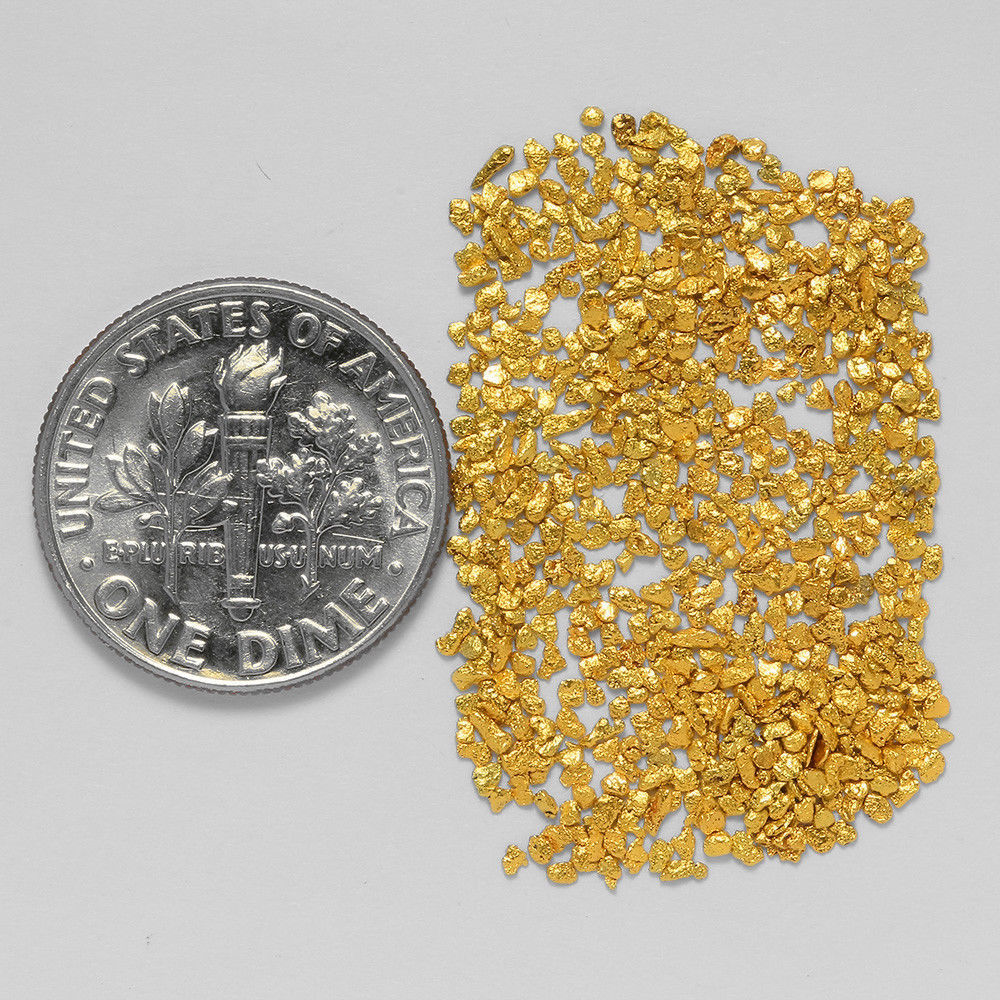金ナゲットアラスカ鉱脈金塊ゴールド　砂金粒 0.8863g_画像1