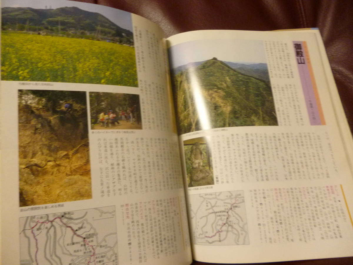  out of print * Kanto 100 name mountain * mountain ... company * immediately ... line ... become Kanto. 100 mountain *100 course . detailed guide #1995 year 2.300 jpy * prompt decision 