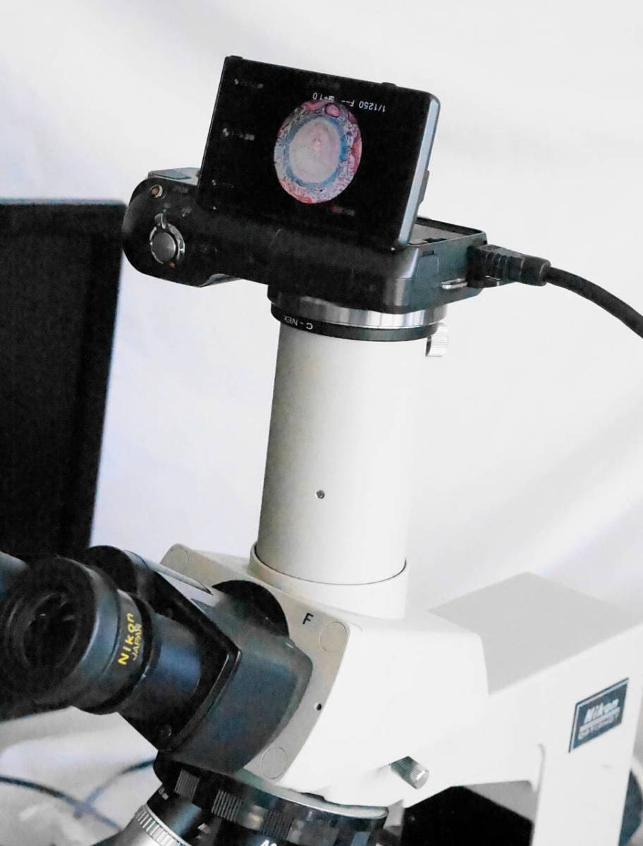 ニコン顕微鏡 OPTIPHOT、LABOPHOT、SMZ-2Tなどのニコン旧型三眼鏡筒対応のカメラアダプタ(新品)と、ミラーレスデジカメ(中古)のセット_画像7