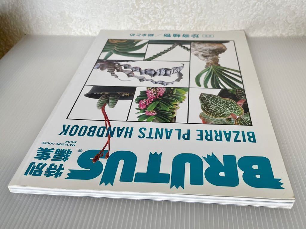 BRUTUS 特別編集 BIZARRE PLANTS HANDBOOK 合本 珍奇植物 総まとめ マガジンハウス 中古本 / ブルータス ハンドブック_画像4