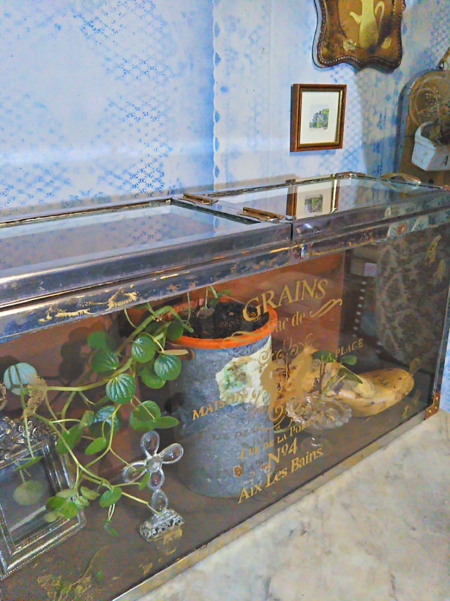 JAN Vintage / French antique Style/② display showcase & succulent plant heat insulation rearing case # store furniture # showcase # glass case 