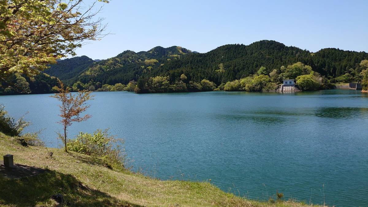 百花蜜 【送料無料】 滋賀県産はちみつ 5_自然豊かな地域の花の蜜