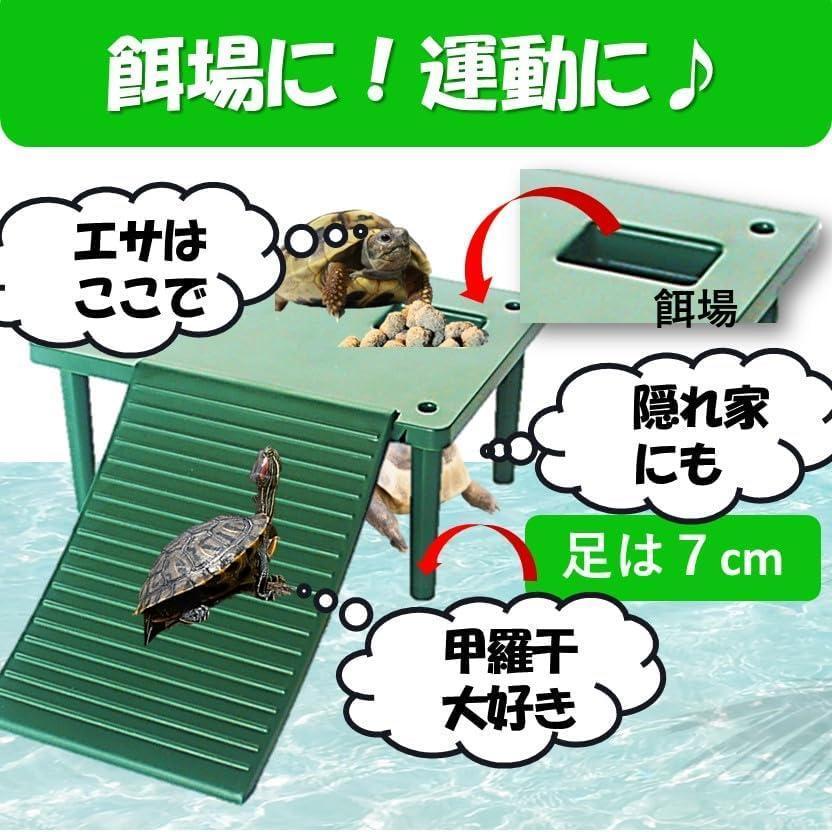 su618 turtle land ground coming off island bait sunlight . Hyuga city ... amphibia reptiles green 