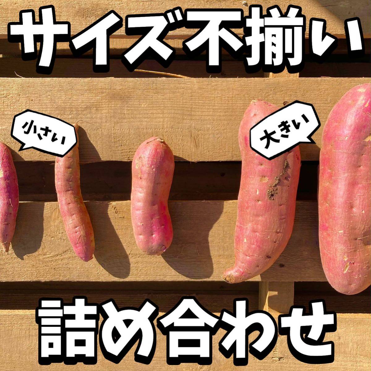 【訳あり野菜】茨城県産　さつまいも　紅はるか　土付き　約13kg_画像2
