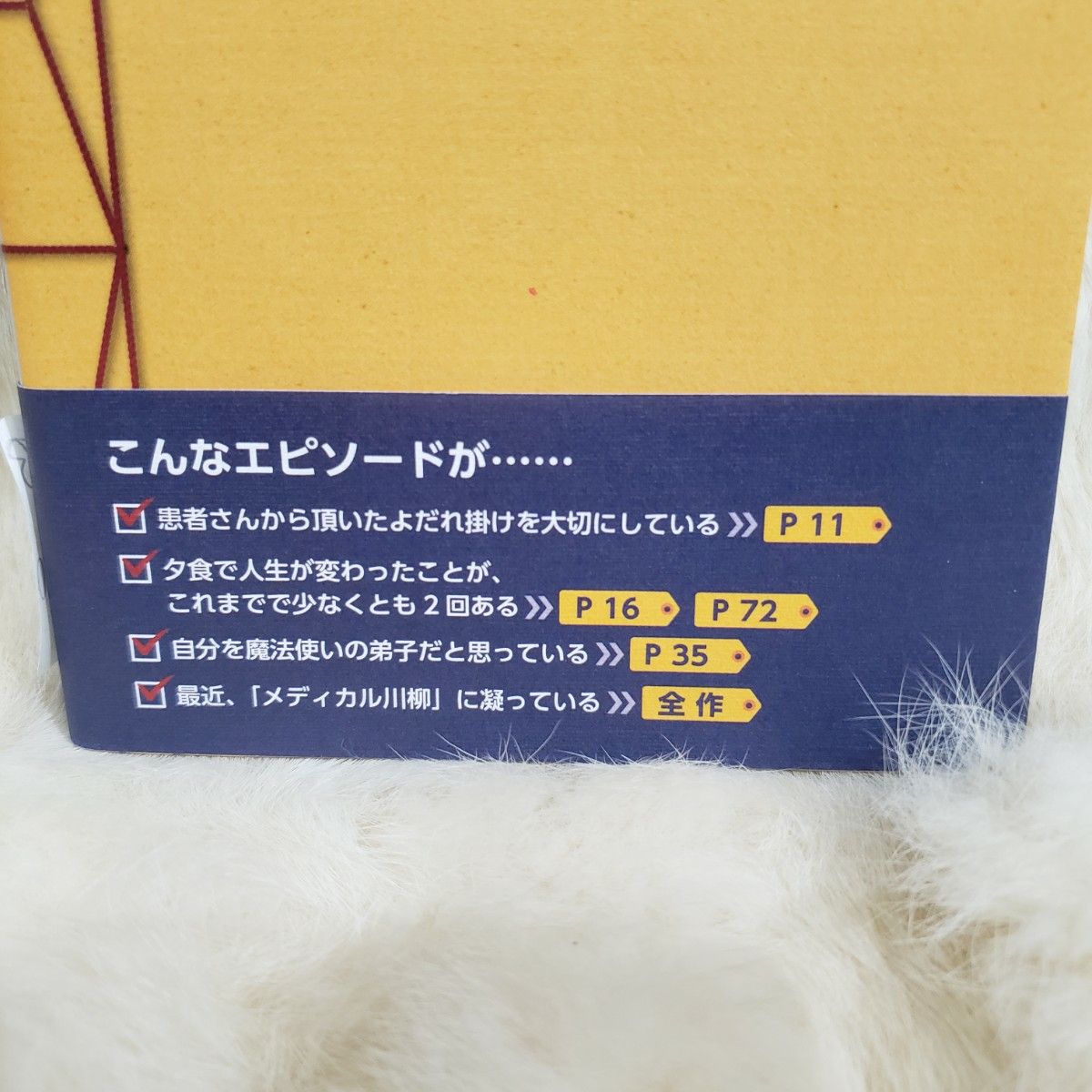 《B130》話すことあり、聞くことあり　研修医当直御法度外伝 寺澤秀一／著