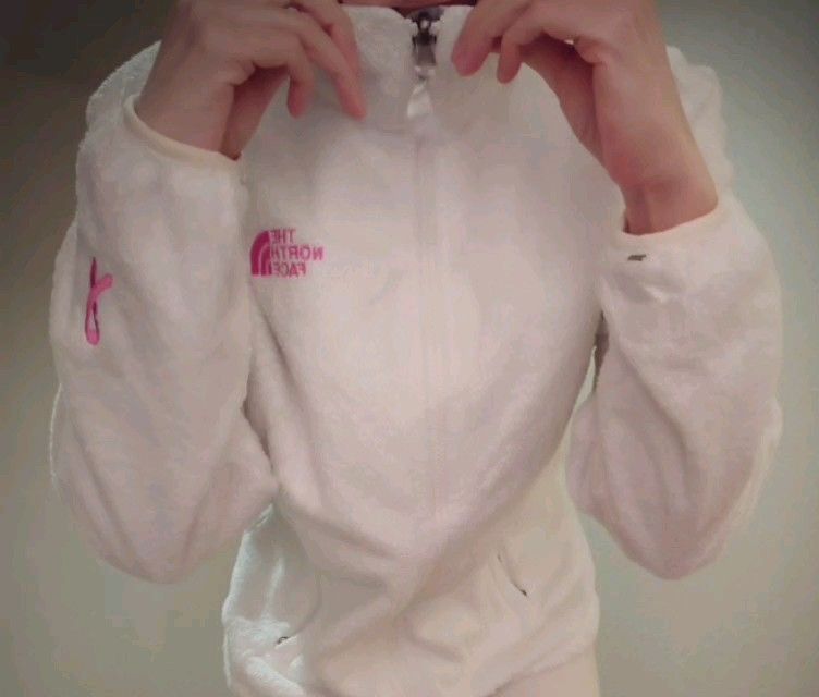 The North Face ピンクリボンバージョン フリース WOMEN'S L 古着好き 動画出品 防犯 防寒 キャンプ