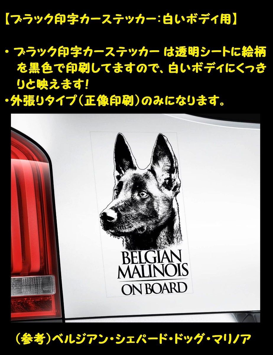 ◆北海道犬/アイヌ犬 外張り カーステッカー 22×10cm 外貼り シール